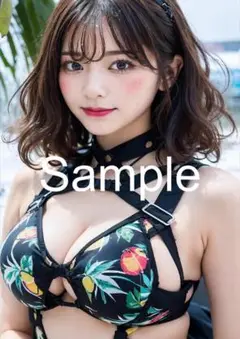 A4サイズアートポスター 1点もの 美女ポスター最高品質 D-C-３