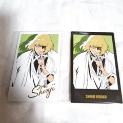BLEACH WORLD インスタントフォト風シートコレクション 平子真子