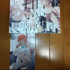 BL漫画 「白い朝に上下巻」 森世