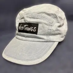 ◆WILD THINGS ワイルドシングス　ボックスロゴ　　水色キャップ◆
