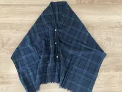 Item thumbnail for item 2aca0ceb-2d20-4d9a-94aa-9eed0900a081