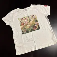 インセクトコレクション　Tシャツ　Lサイズ