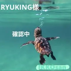 RYUKING様 リクエスト 3点 まとめ商品