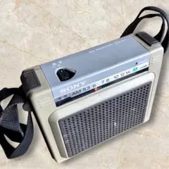 2025年最新】SONY ICR-S71の人気アイテム - メルカリ