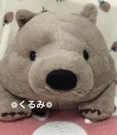 ずんぐりウォンピー　ウルトラBIG　ウォンバット　ぬいぐるみ