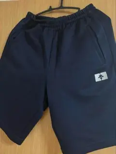 DESCENTE 体操服 ズボン Lサイズ