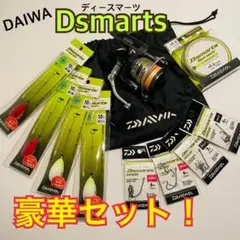 ☆極美品☆ダイワ ディースマーツ 2506PE-SH【錘、針、ライン付き】