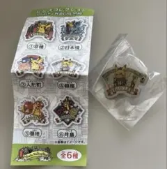 ポケモンセンタートウキョーDX ピンズコレクション　銀座　ピカチュウ