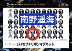 ガンバ大阪　南野遥海　シークレットプチリボンマグネット