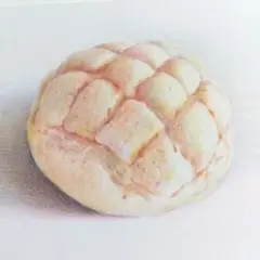 メロンパンの色鉛筆画②