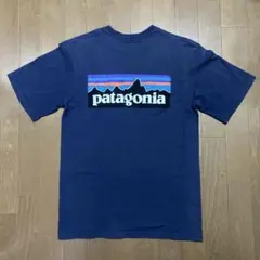 パタゴニア　Tシャツ　Patagonia XS