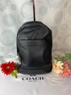 COACH コーチ ボディーバッグ シグネチャー レザー