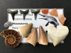 Item thumbnail for item 52227c55-3343-449b-a713-4a2020bd4f2e