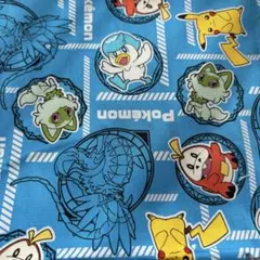 ポケモン　布　生地
