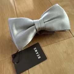 Item thumbnail for item e77abed2-b09b-48fe-9541-8354a50e0f7a