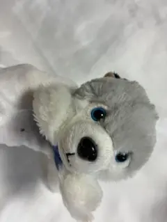 Item thumbnail for item f8609543-d2c8-4d64-a9bf-5bb90e6fec58