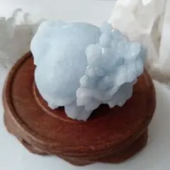 龍亀　開運置物