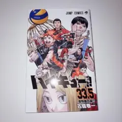 ハイキュー!! 33.5 特別版