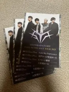 Amazon.co.jp: 額装 MY FIRST STORY タワレコ A4サイズ額 NO