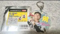 阪神2025トラコデー シークレットオーロラアクリルキーホルダー 木下里都