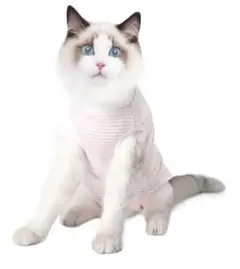 Item thumbnail for item c2348fa0-8293-4bf2-9fe6-4a9e61209da0