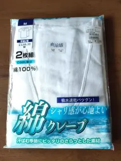 Item thumbnail for item 0f1192a5-3b9c-4e9f-a4d0-24b3ea4199d1