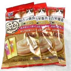 銀のスプーン とろリッチ 三ツ星グルメ 3袋 総合栄養食 ちゅーる