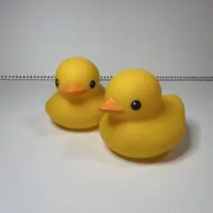 フロレンティン ホフマン ラバーダック TOLO フロレンタイン 水