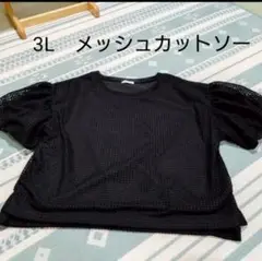 Item thumbnail for item 963fd688-2689-4c2f-bd0d-420384dafc11