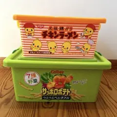 コンテナボックス　サッポロポテト　チキンラーメン　2種セット