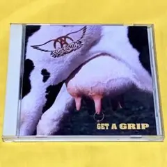 エアロスミス/ゲット・ア・グリップ