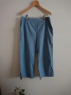 青いふくらはぎ丈パンツ