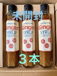 ジンジャーシロップ 九州アスリート食品　3本