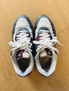 NIKE AIR MAX 24.5cm