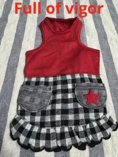 Item thumbnail for item 2fc09fc6-e5a0-408f-9ea0-0e63cefde311