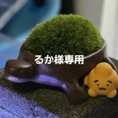 亀の形の苔付き置物