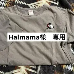 スヌーピー刺繍ポケットTシャツ ブラウン