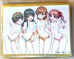 とある科学の超電磁砲 水着 スリーブ