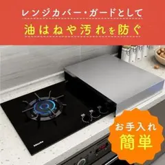 Item thumbnail for item 95b562b9-bae3-4654-a2ec-7c53672193cd