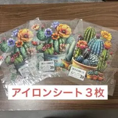 【在庫処分】 多肉植物　サボテン　アイロンシート　３枚