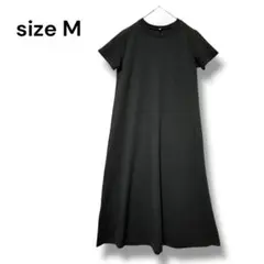 Item thumbnail for item da9b80d9-3d49-431a-ae96-5a9b0f469391