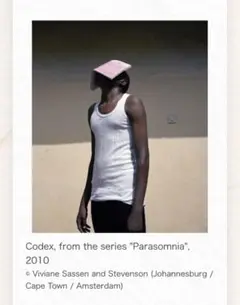 希少 Viviane Sassen プリント ヴィヴィアン・サッセン 2025年最新】ビビアン・サッセンの人気アイテム - メルカリ