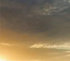 Item thumbnail for item c5354d73-0ac7-4d4c-8bb0-81686695fb3d