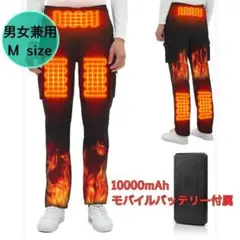 Item thumbnail for item 829592c9-239b-495b-a507-a5d19651f604