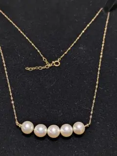 Item thumbnail for item 373d24a7-069b-4800-a54a-0304018f520f