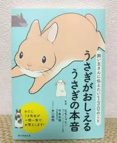 うさぎがおしえるうさぎの本音 イラスト井口病院