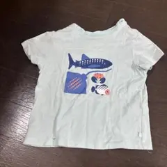 OBaiBi 淡い水色 魚グラフィック Tシャツ