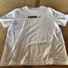 PUMA ホワイト Tシャツ Lサイズ