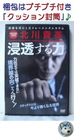 システマ東京 北川貴英【浸透する力】今より強くなるリラックスの技術 [DVD]