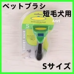 Item thumbnail for item 5345b032-f312-4c55-990c-6a915e9a36cc